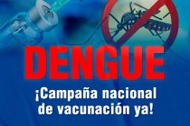 Libres del Sur exige campaña nacional de vacunación contra el dengue.