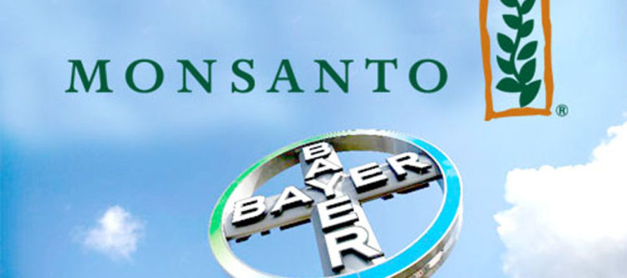 Monsanto culpable