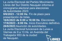 Convocatoria a elecciones Movimiento Libres del Sur Distrito Neuquén