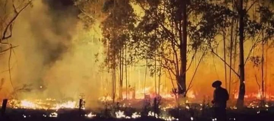 [Corrientes] La provincia arde de imprevisión.
