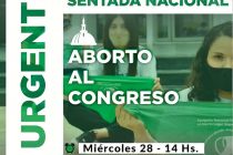 Sentada Nacional por el tratamiento del Aborto en el Congreso.