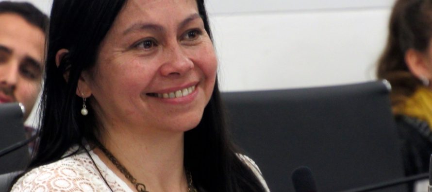 [Chaco] Nancy Sotelo busca regular el uso de la pirotecnia