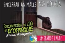 [La Plata] Maia Luna: 29 de abril: Por las libertades de los animales.