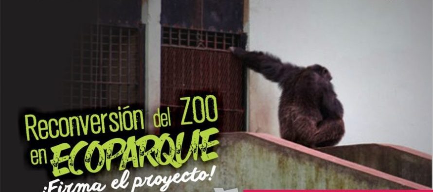 [La Plata] Finalmente se anunció en capital la transformación del zoológico en un #Ecoparque