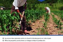 [Corrientes] Organizaciones se manifestarán en defensa de los pequeños productores