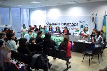 [La Plata] 28 de septiembre: Un grito global por aborto legal!