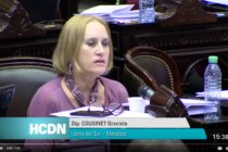 [Mendoza] Intervención diputada Cousinet sobre ley acceso información