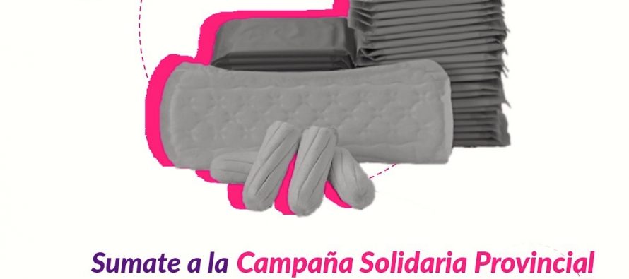 [Santa Fe] Campaña solidaria de productos de higiene y gestión menstrual.